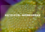 极品飞车9中文版，畅享速度与激情盛宴