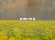 愤怒的小红帽