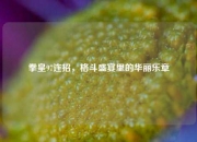 拳皇97连招，格斗盛宴里的华丽乐章