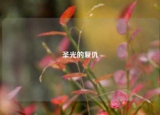 圣光的复仇