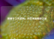 探秘十三月官网，开启未知精彩之旅