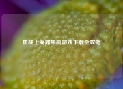 血战上海滩单机游戏下载全攻略
