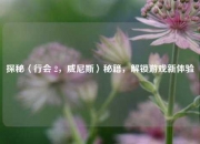 探秘〈行会 2，威尼斯〉秘籍，解锁游戏新体验