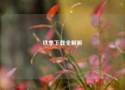 铁拳下载全解析