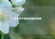 宝可梦大探险食谱全揭秘