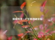 探秘传奇 3 尸王殿神秘坐标