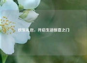 欢乐礼包，开启生活惊喜之门