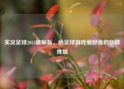 实况足球2013破解版，给足球游戏爱好者的别样体验
