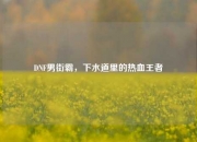 DNF男街霸，下水道里的热血王者