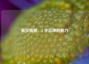 疯狂猜图，2 字品牌的魅力