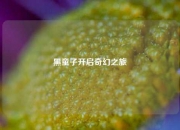 黑童子开启奇幻之旅