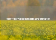 蚂蚁庄园小课堂揭秘圆珠笔尖里的知识