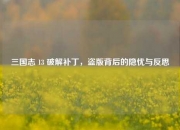 三国志 13 破解补丁，盗版背后的隐忧与反思