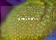 探寻破坏磐键之法