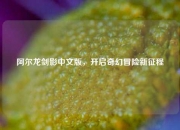 阿尔龙剑影中文版，开启奇幻冒险新征程