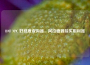 DNF NPC 好感度查询器，阿拉德冒险实用利器