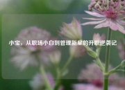 小宝，从职场小白到管理新星的升职逆袭记