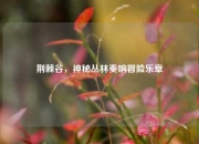荆棘谷，神秘丛林奏响冒险乐章