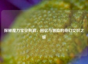 探秘魔力宝贝狗洞，回忆与冒险的奇幻交织之旅