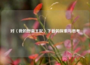 对〈我的野蛮王妃〉下载的探索与思考