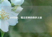 DNF扫把，魔法世界的奇妙之器