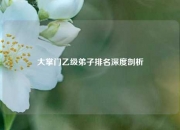 大掌门乙级弟子排名深度剖析