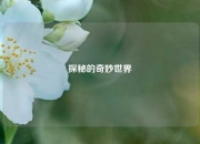 探秘的奇妙世界