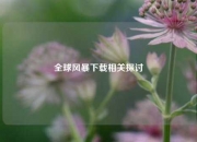 全球风暴下载相关探讨
