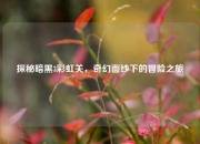 探秘暗黑3彩虹关，奇幻面纱下的冒险之旅