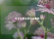 龙之谷强化技巧全揭秘