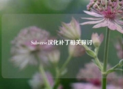 Subverse汉化补丁相关探讨
