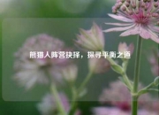 熊猫人阵营抉择，探寻平衡之道
