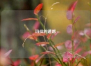 玛拉的遗愿