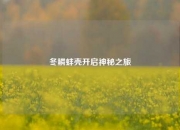 冬鳞蚌壳开启神秘之旅