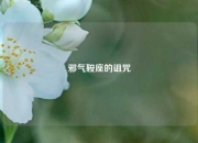 邪气鞍座的诅咒