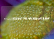 Instagram拍照软件下载与加速器使用全解析