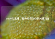 DNF体力宝珠，提升角色生存的关键利器