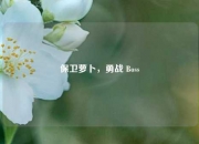 保卫萝卜，勇战 Boss