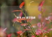 探寻 DNF 皇女踪迹