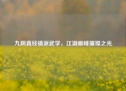 九阴真经镇派武学，江湖巅峰璀璨之光