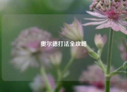 奥尔德打法全攻略