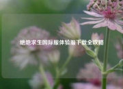 绝地求生国际服体验服下载全攻略
