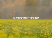 QQ飞车宠物排行榜大揭秘