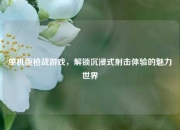 单机版枪战游戏，解锁沉浸式射击体验的魅力世界