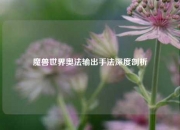 魔兽世界奥法输出手法深度剖析