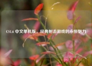 CS1.6 中文单机版，经典射击游戏的永恒魅力