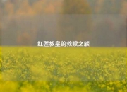 红莲教皇的救赎之旅