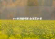DNF刷图最强职业深度剖析