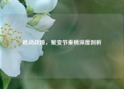 机动战姬，聚变节奏榜深度剖析