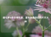 魂斗罗30条命单机版，童年热血回忆的不灭火种